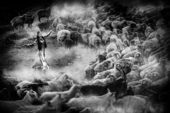 Kazakh Sheep Driving Goddess