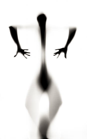 Primitive Shadows