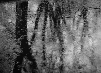 Rainy day