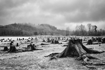 Alder Lake