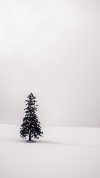 Stand alone