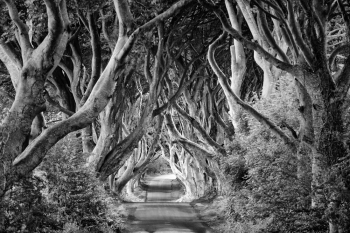 THE GATES TO THE DARK KINGDOM