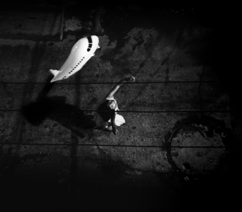 Let Her Fly