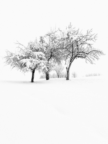 Winterwonderland!