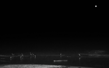 RUNNING FOR THE GRUNION