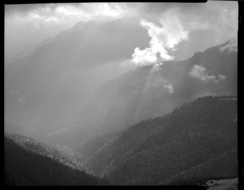 Fog in the Carpathians