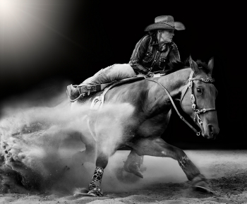 Barrel Rider