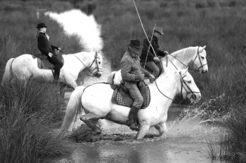 people and land of the Camargue