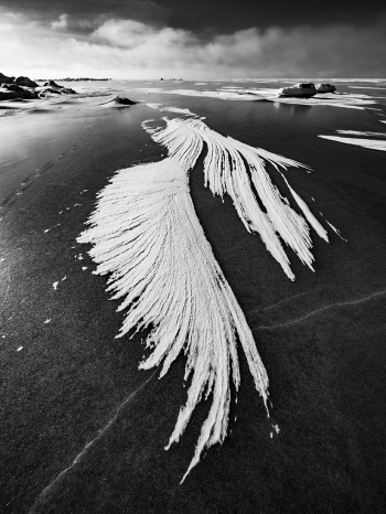 Angel's wings