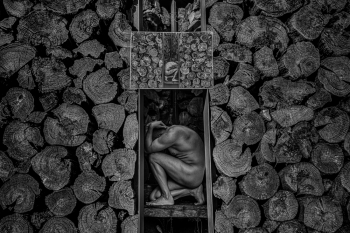 The Art of Human Body