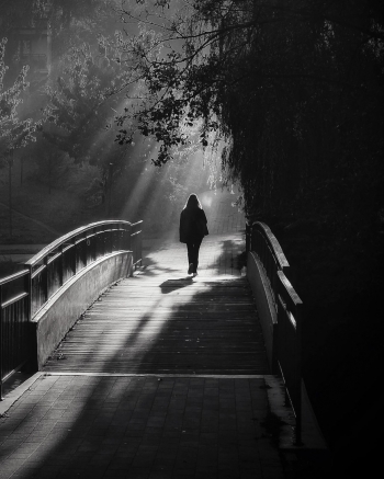 Misty morning