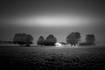 Dark Farm