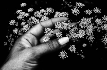 Gio's flower