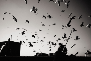 Hungry sky