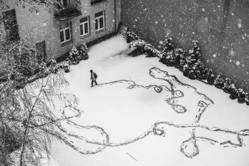 Snowfall