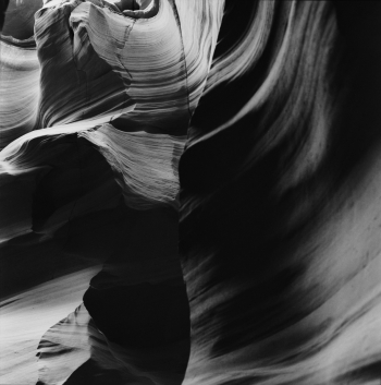dancing curves