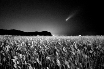 The earth 