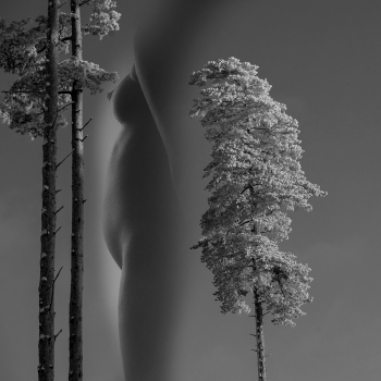 Procreation