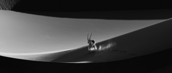 Desert Ballet