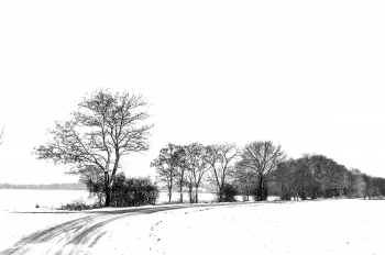 First snow