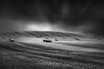 AFTER HARVEST