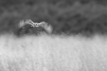 Motion