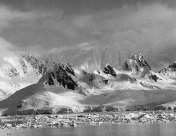 antarctic idylle 