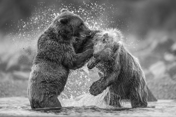Pride of Alaska