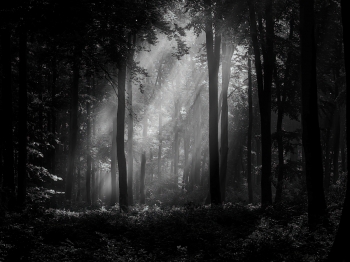 shadows and lights