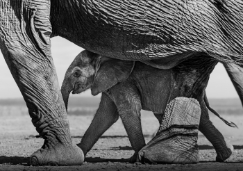 Sense of protection