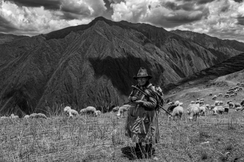 Serenade from the Andes