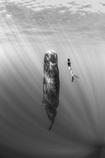Deep encounter
