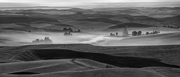 Wheat fields 