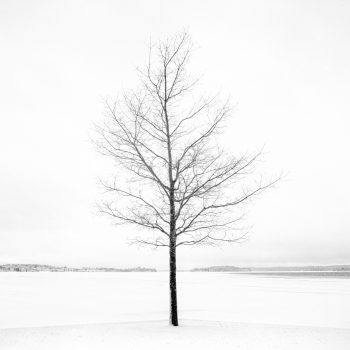 Four Seasons