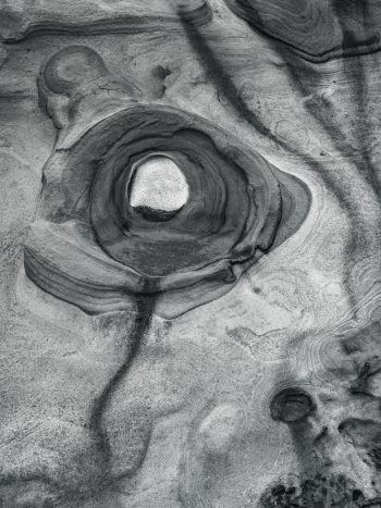 Point Lobos, CA 1984