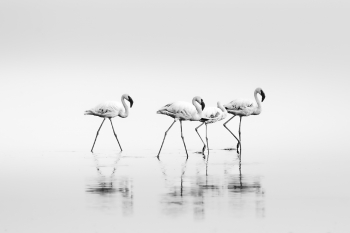 Lake Natron Residents