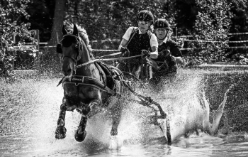 Water sport