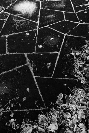 Geometry of winter