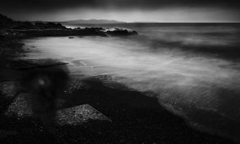 The Structure of Reality