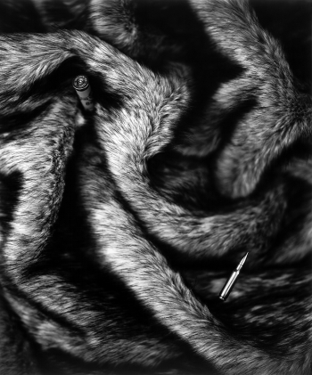 Fur