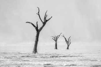 Dust, elegance, time