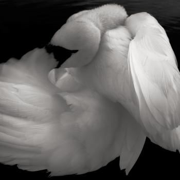 Quiet Unfolding