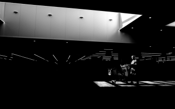 The light and shadows of consumers