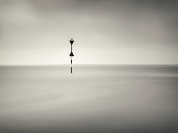Lonely seagull