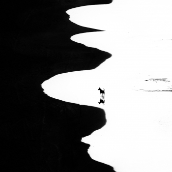 Borderlines