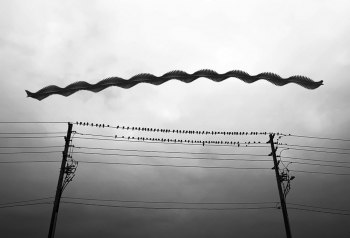 Wings Over Concrete