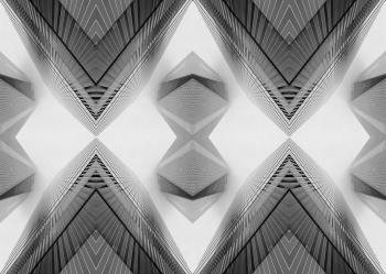 Visions in Grayscale 