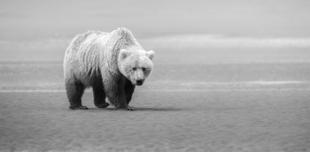 Walk Gently and leave no trace.  