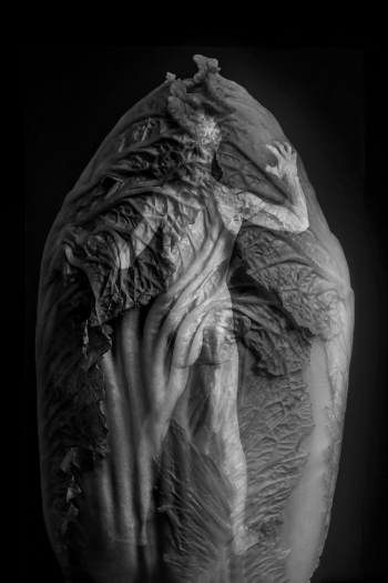 The man in the chinese cabbage