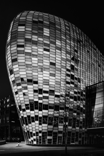 Geometry of Silence